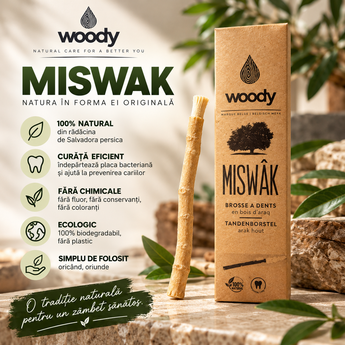 Miswak natural din lemn de Arak Woody – imagine 3