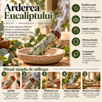 Baton de fumigație din eucalipt Holistic – ritual natural acasă