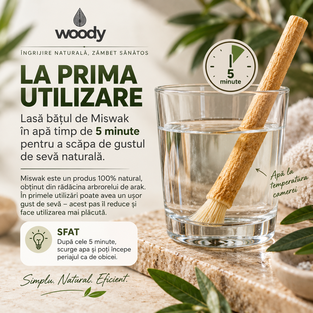 Miswak natural din lemn de Arak Woody – imagine 2