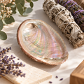 Cochilie naturală de abalone pentru fumigație
